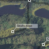 Skulls nose
